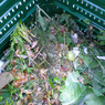 04_budovani kapacit-biom_web