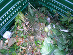04_budovani kapacit-biom_web